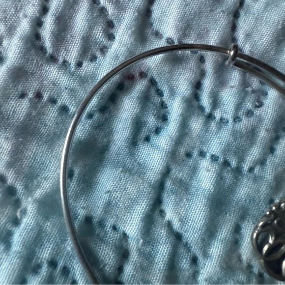 Alex and Ani Path of Life Charm Bracelet - Picture 7 of 10